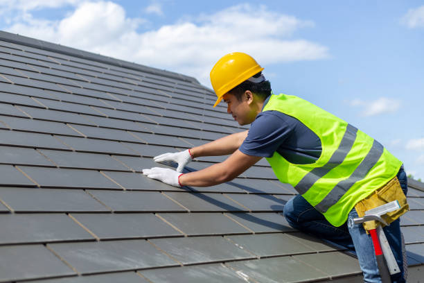 Best Storm Damage Roof Repair  in Ladd, IL