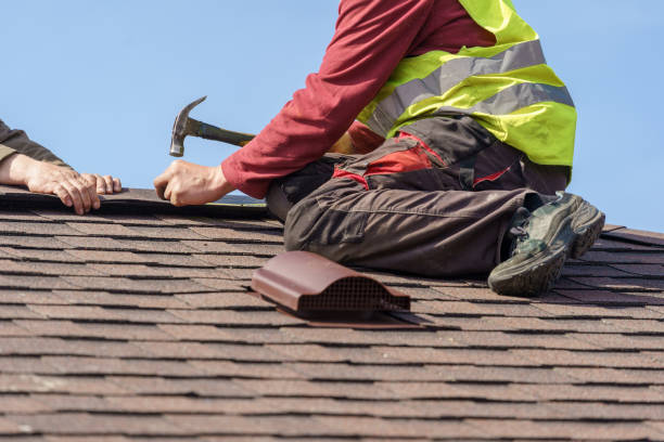 Best Metal Roofing Contractor  in Ladd, IL