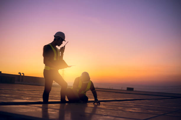Best Local Roofing Companies  in Ladd, IL
