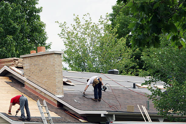 Best Storm Damage Roof Repair  in Ladd, IL