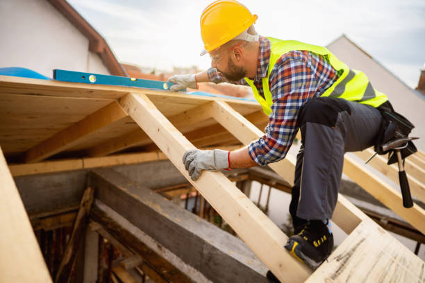 Best Roof Leak Repair  in Ladd, IL