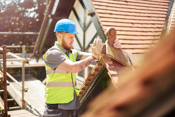 Best Metal Roofing Contractor  in Ladd, IL